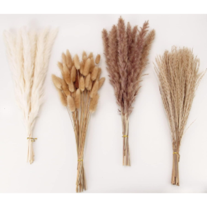 Signature Natural Pampas Grass Arrangement – 100-Stem Collection